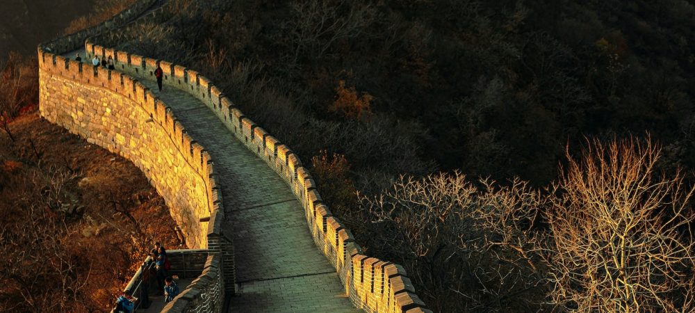 pexels-artem-korsakov-10952316